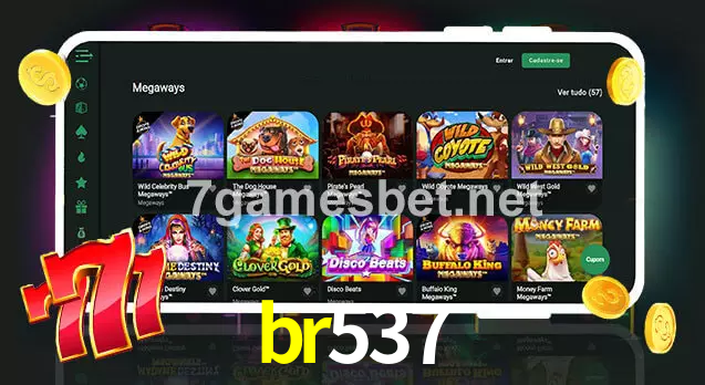 br537 aplicativo