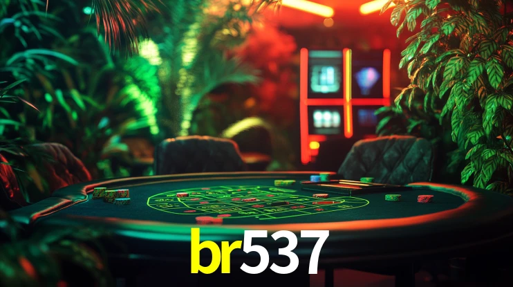 Premium Interface br537